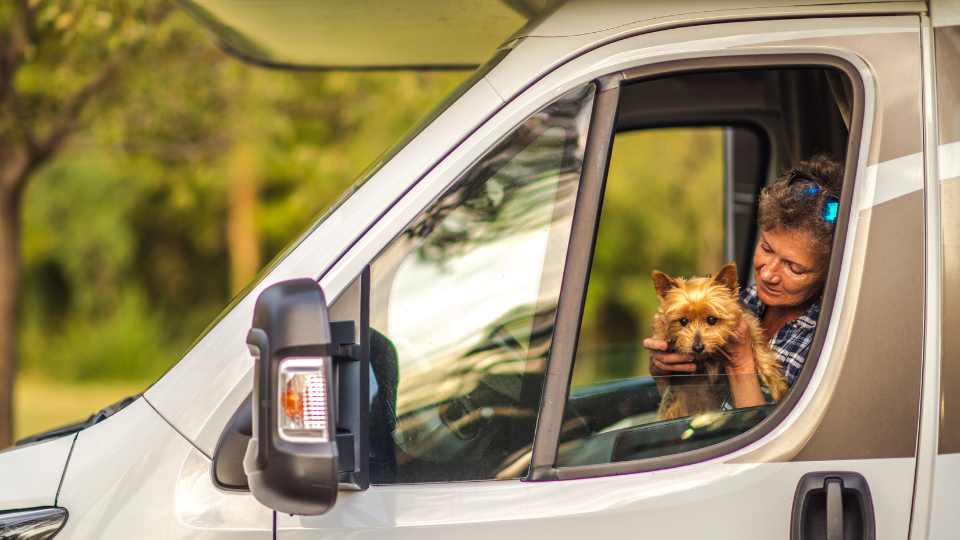 Viajar con mascotas en autocaravana: Todo lo que necesitas saber para una aventura sin límites